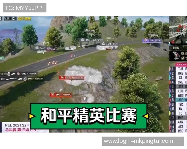 实时新闻热议和平精英FPX战队如何通过比赛经验变革提升竞技水平